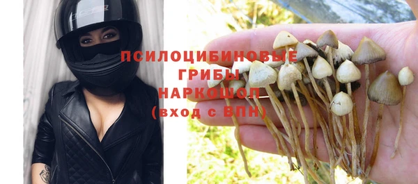 мет Абинск