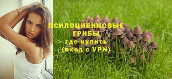 кристаллы Абаза