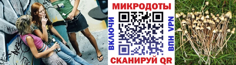 Галлюциногенные грибы Psilocybine cubensis  купить наркоту  Гагарин 