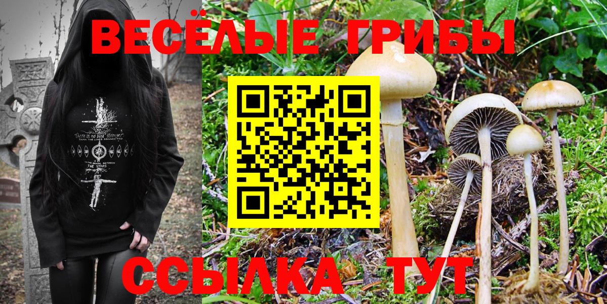 Гагарин  наркотики  Вход с VPN  Псилоцибиновые грибы Psilocybe  Псилоцибиновые грибы прущие грибы 